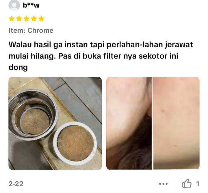 Skincare Shower Filter